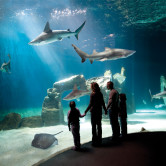 Acquario_di_Genova